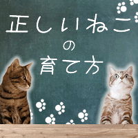 ネコの育て方